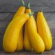 Cukinia Goldena