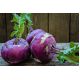 Kalarepa Delikates Blauer