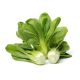 Kapusta chińska Pak-Choi  
