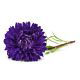Aster - Milady Deep Blue