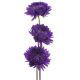 Aster - Milady Deep Blue