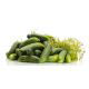 Ogórek Krak - gruntowy konserwowy - NASIONA OTOCZKOWANE