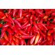 Papryka Jalapeno - bardzo ostra, czerwona