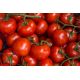 Pomidor Harzfeuer F1 - gruntowy, znany i ceniony w Europie