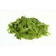 Baby Leaf - Rukola