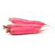 Rzodkiew Ostergruss Rosa 2 - letnia