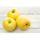 Jabłoń Golden Delicious - sadzonka XXL