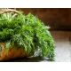 Koper ogrodowy Moravan - 100 gram