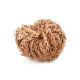 Róża jerychońska - Rose of Jericho
