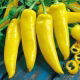 Papryka Hungarian yellow wax hot - ostra węgierska