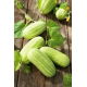 Ogórek melonowy Carosello Barese