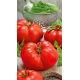 Pomidor Gigant
