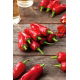 Papryka Jalapeno - bardzo ostra, czerwona