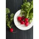 Rzodkiewka Cherry Belle   (czerwona) - b. wczesna - 100 g