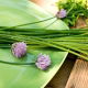 BIO Szczypiorek Medium leaf - Certyfikowane nasiona ekologiczne