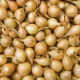 Cebula dymka - mix - 4 x 1 kg