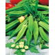Okra, Ketmia jadalna Clemson Spineless