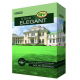 Mieszanka traw - Elegant - 1 kg
