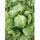 Sałata Kumak - NANO-GRO - 30% większe zbiory