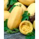 Dynia makaronowa Vegetable Spaghetti