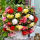 Begonia pachnąca - mix kolorów - 2 szt.