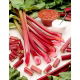 Rabarbar Raspberry Red - malinowy - sadzonka - duża paczka! - 10 szt.