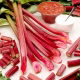 Rabarbar Raspberry Red - malinowy - sadzonka - duża paczka! - 10 szt.