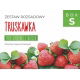 Zestaw rozsadowy 'Truskawka' - zrób sadzonki z nasion - Box S