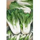 Kapusta chińska Pak-Choi  