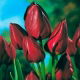 Tulipan Wallflower - GIGA paczka! - 250 szt.