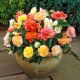 Begonia Pastel mix - 2 szt.