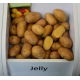 Ziemniaki, Sadzeniaki - Jelly - średnio późne - 25 kg
