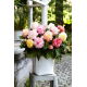 Begonia Samba mix - duża paczka! - 20 szt.