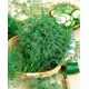 Koper ogrodowy Krezus - 100 gram