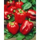 BIO Papryka California Wonder