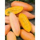 Dynia Pink Banana Jumbo