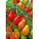 Pomidor Red Pear - koktajlowy