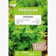 BIO Oregano, Lebiodka pospolita