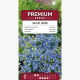Nemezja powabna Blue Gem