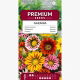 Gazania lśniąca