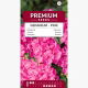 Pelargonia różowa