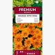 Gazania Orange With Ring