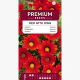 Gazania Red with ring