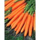 Marchew Olympus - późna, typ Flakkee - 50 gram