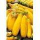 Cukinia Goldena - 100 gram