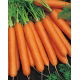 Marchew Nantes 3 - średnio wczesna - 100 gram