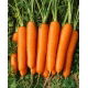 Marchew Nantaise 2 - średnio wczesna - duże opakowanie - 100 gram