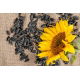 Obowiązkowy Pokarm do Karmnika! Czarny Słonecznik 0,5 kg - Najpopularniejsza Karma