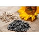 Obowiązkowy Pokarm do Karmnika! Czarny Słonecznik 0,5 kg - Najpopularniejsza Karma