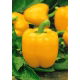 Papryka Yellow California Wonder - żółta, słodka